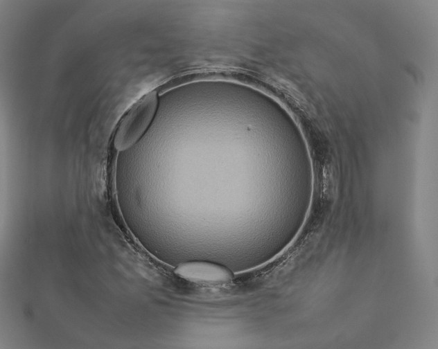 X0000112771165200909031605