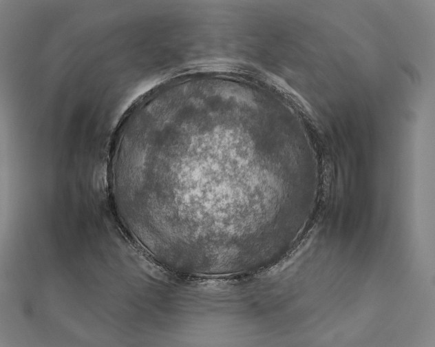 X0000112771166200909031605