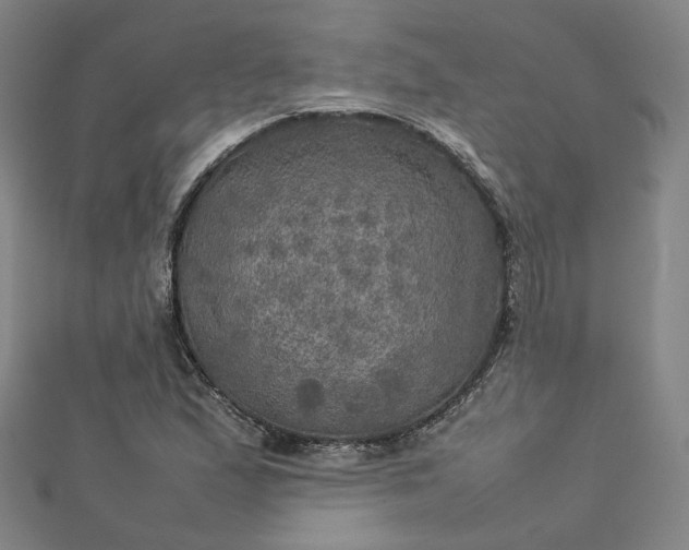 X0000112771167200909031605