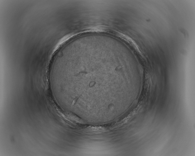 X0000112771168200909031605