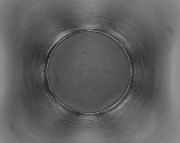 X0000112771170200909031605