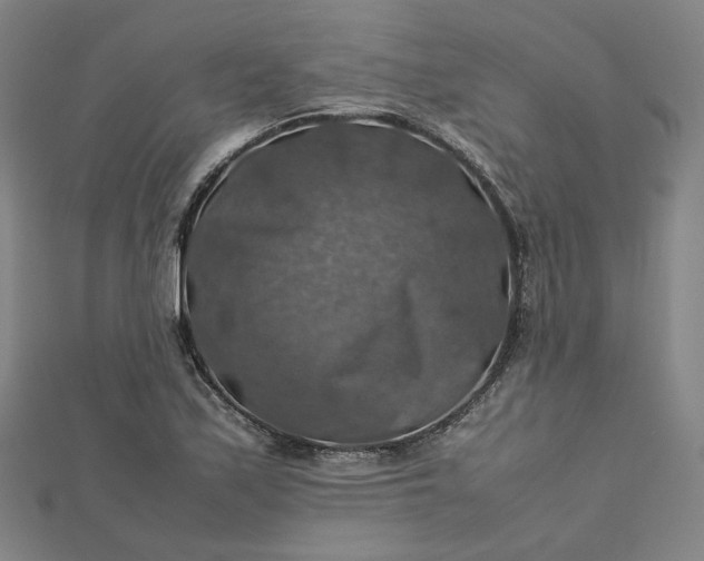 X0000112771171200909031605