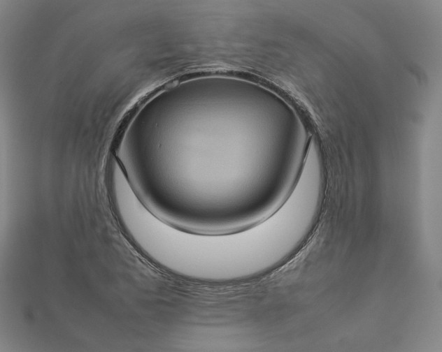 X0000112771173200909031605