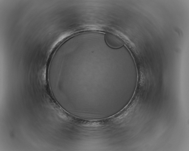 X0000112771174200909031605