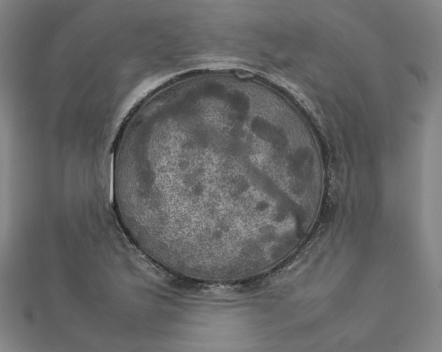 X0000112771175200909031605