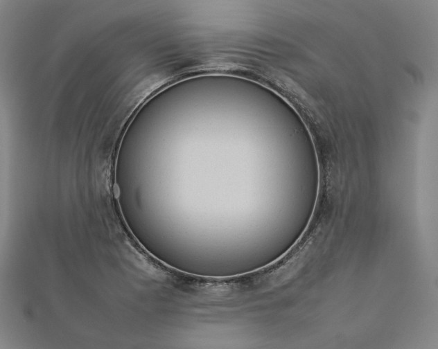 X0000112771177200909031605