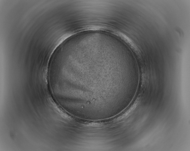 X0000112771178200909031605