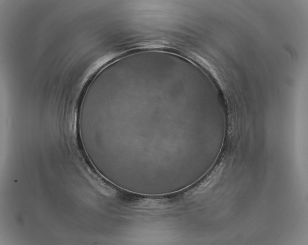 X0000112771179200909031605