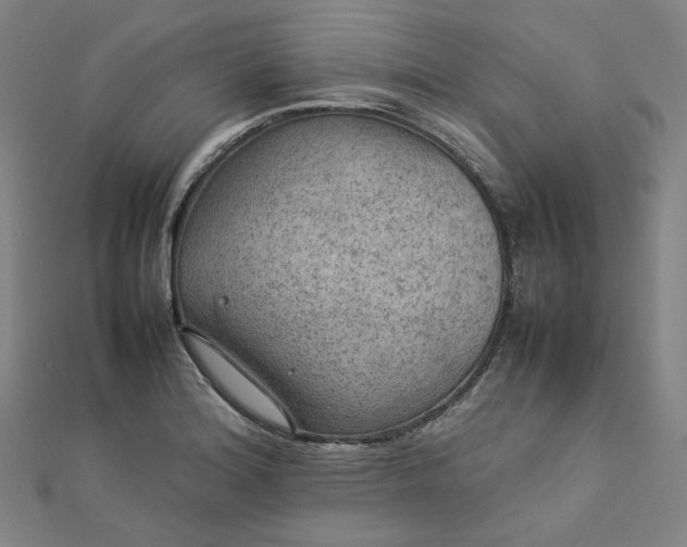 X0000112771180200909031605