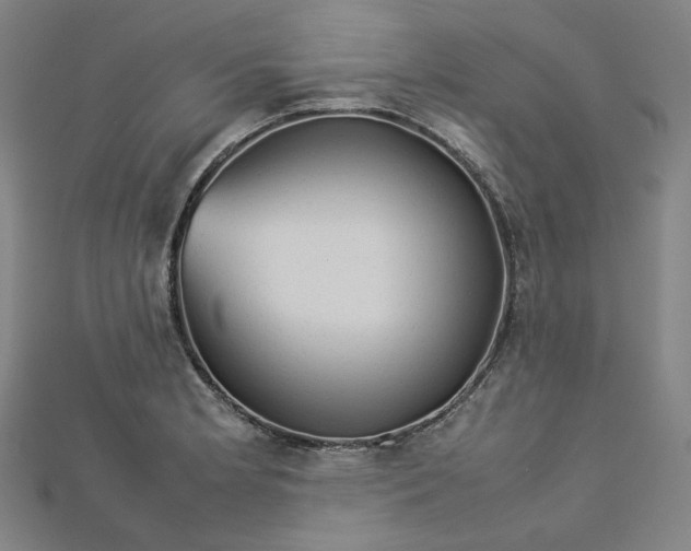 X0000112771181200909031605