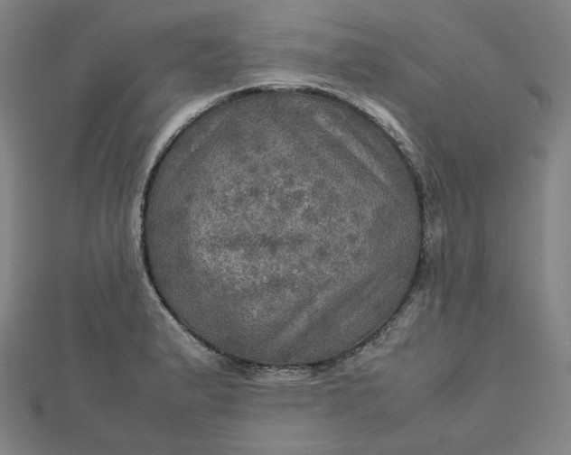 X0000112771183200909031605