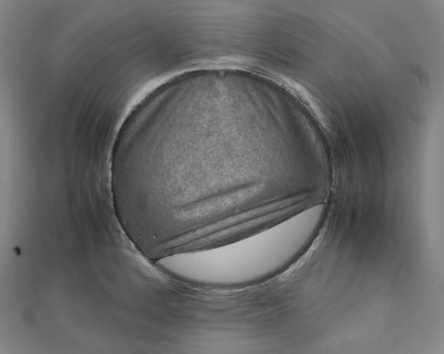 X0000112771184200909031605