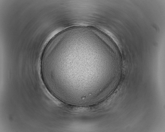 X0000112771187200909031605