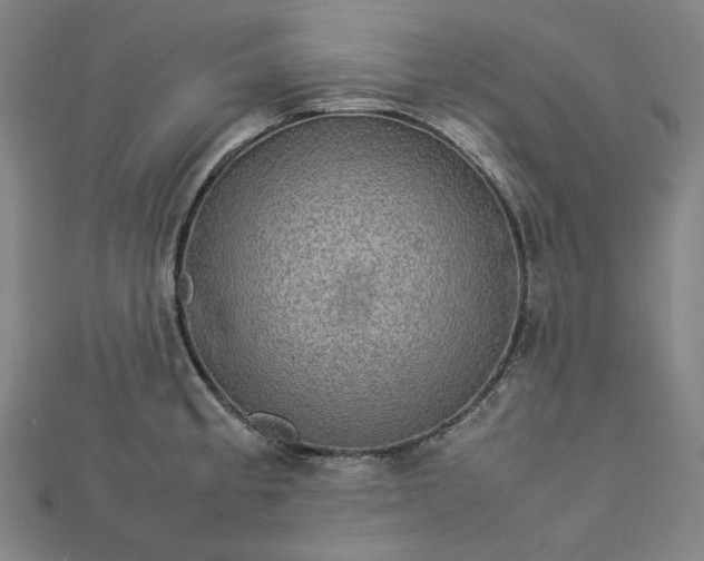 X0000112771189200909031605