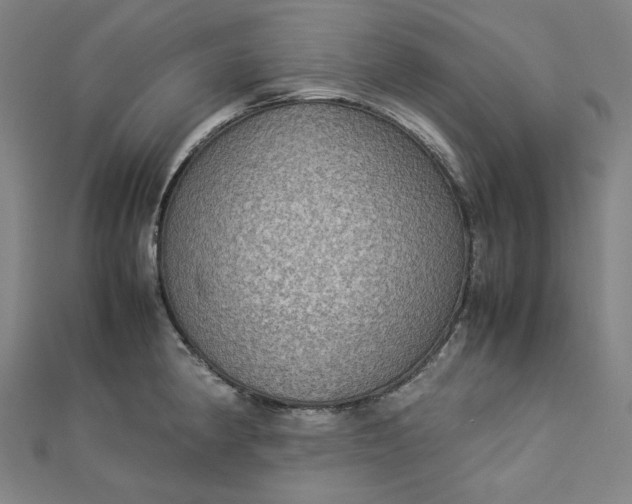 X0000112771190200909031605