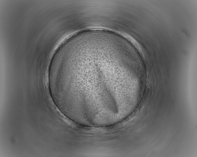 X0000112771191200909031605