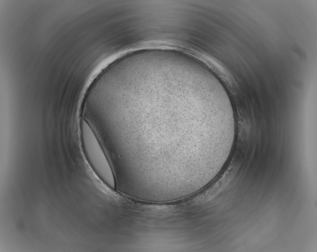 X0000112771192200909031605