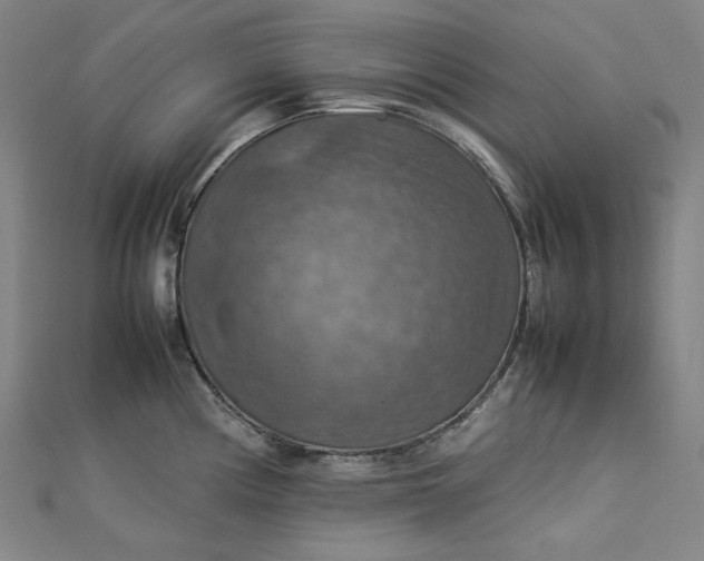 X0000112771194200909031605