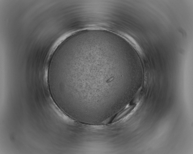 X0000112771196200909031605