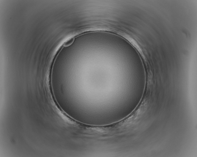 X0000112771197200909031605