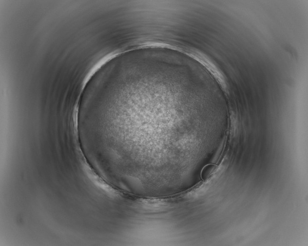 X0000112771198200909031605