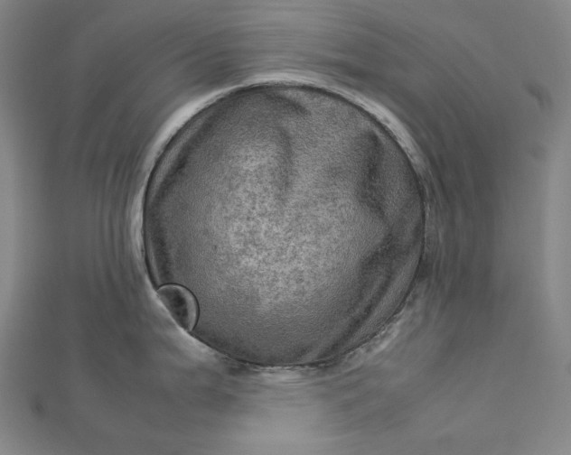 X0000112771199200909031605