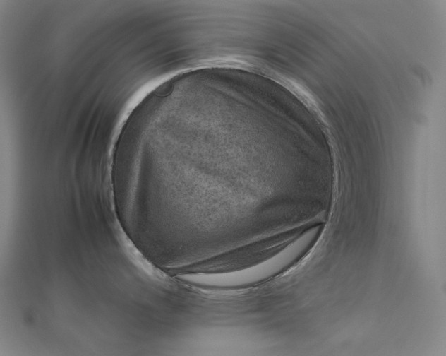 X0000112771200200909031605