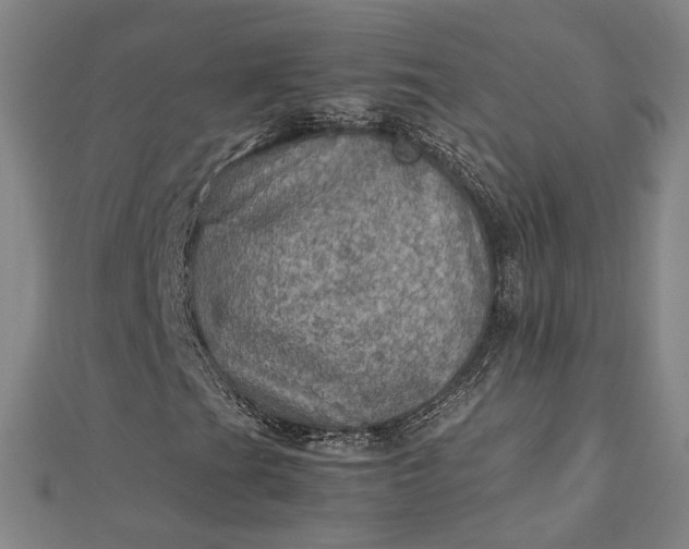 X0000112771201200909031604