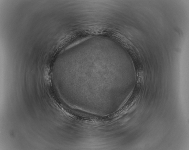 X0000112771202200909031604