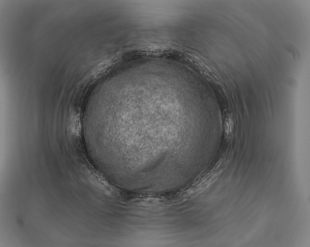 X0000112771204200909031604