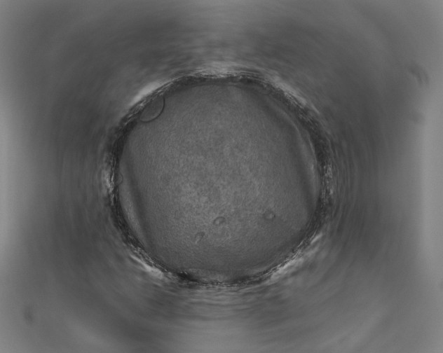 X0000112771206200909031604