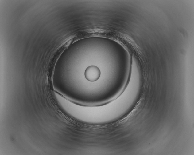 X0000112771209200909031604