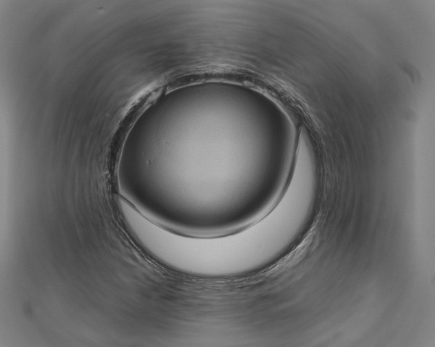 X0000112771210200909031604