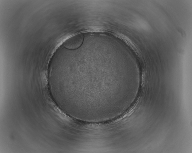 X0000112771212200909031604