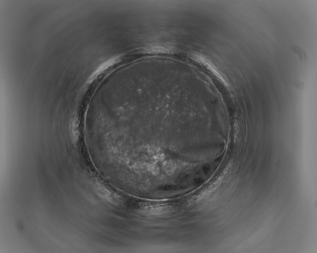 X0000112771213200909031604