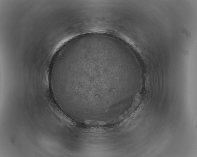 X0000112771214200909031604