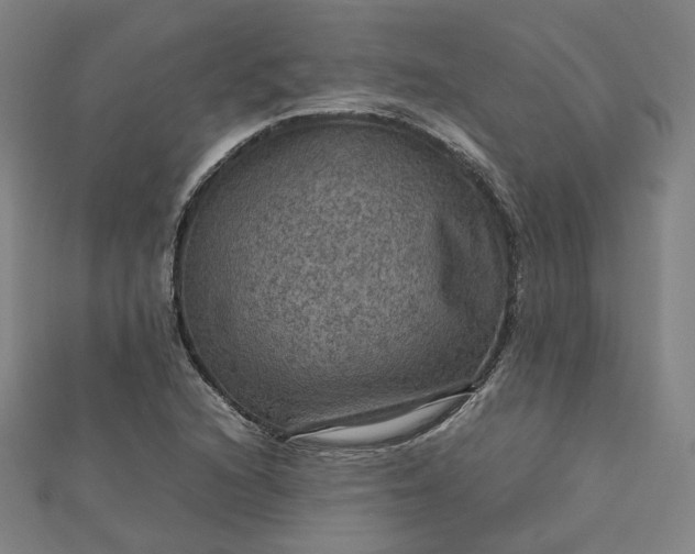 X0000112771216200909031604