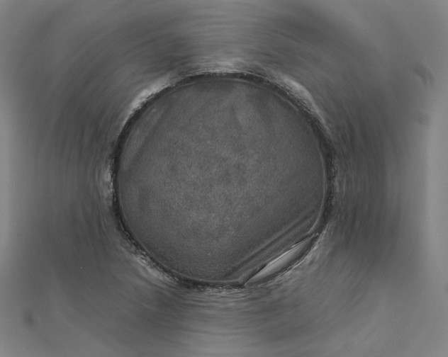 X0000112771218200909031604