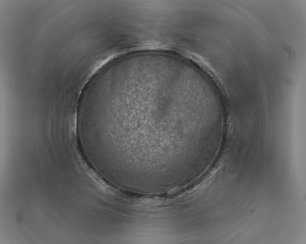 X0000112771220200909031604