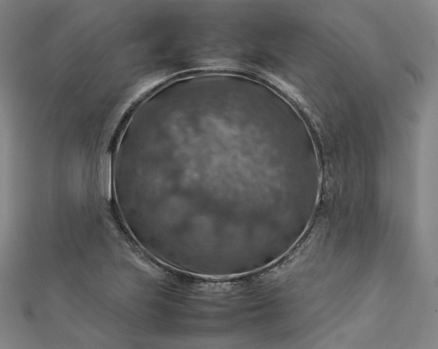 X0000112771223200909031604