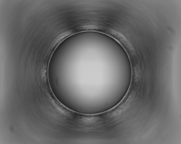 X0000112771225200909031604