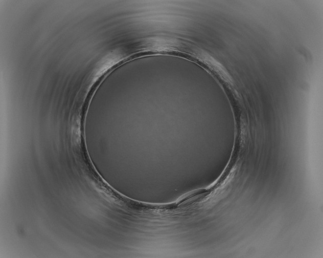 X0000112771226200909031604