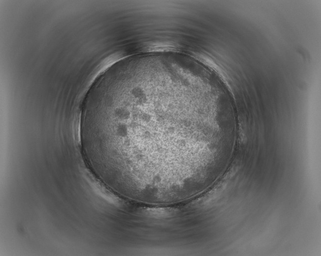 X0000112771227200909031604