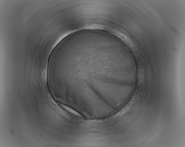 X0000112771228200909031604