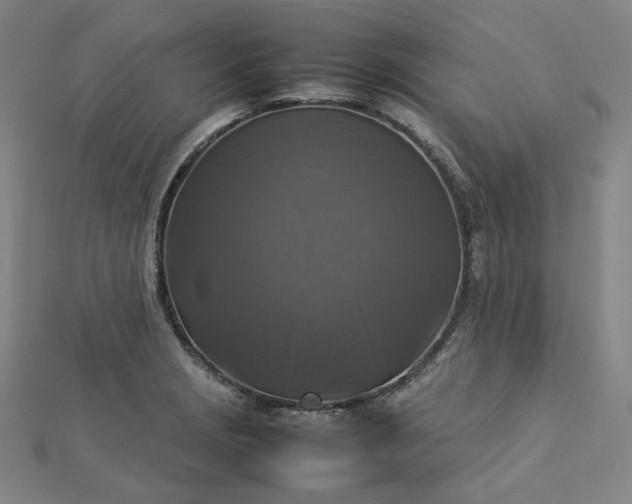 X0000112771229200909031604