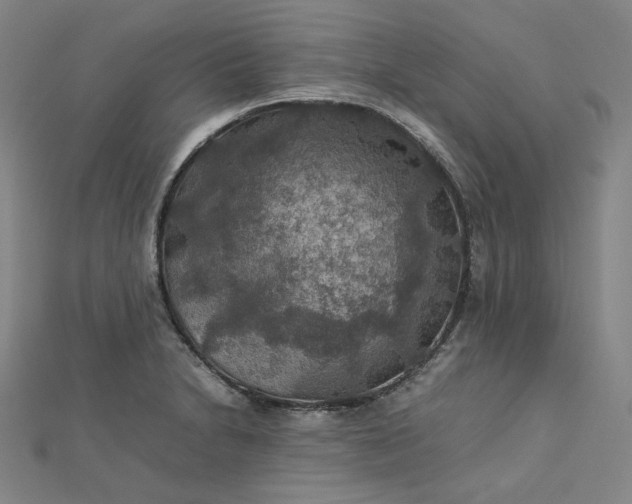 X0000112771230200909031604