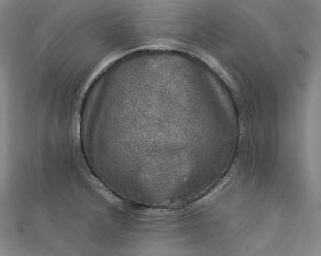 X0000112771232200909031604