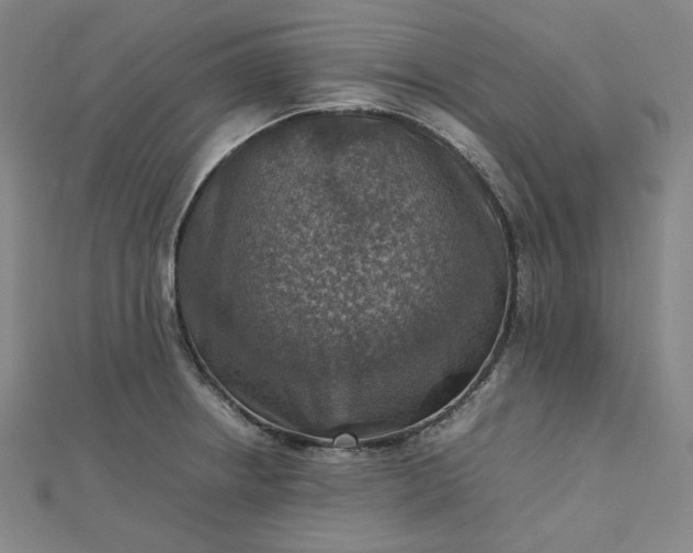 X0000112771234200909031604