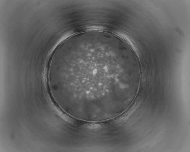 X0000112771235200909031604