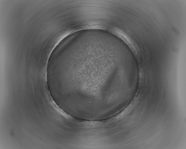 X0000112771236200909031604